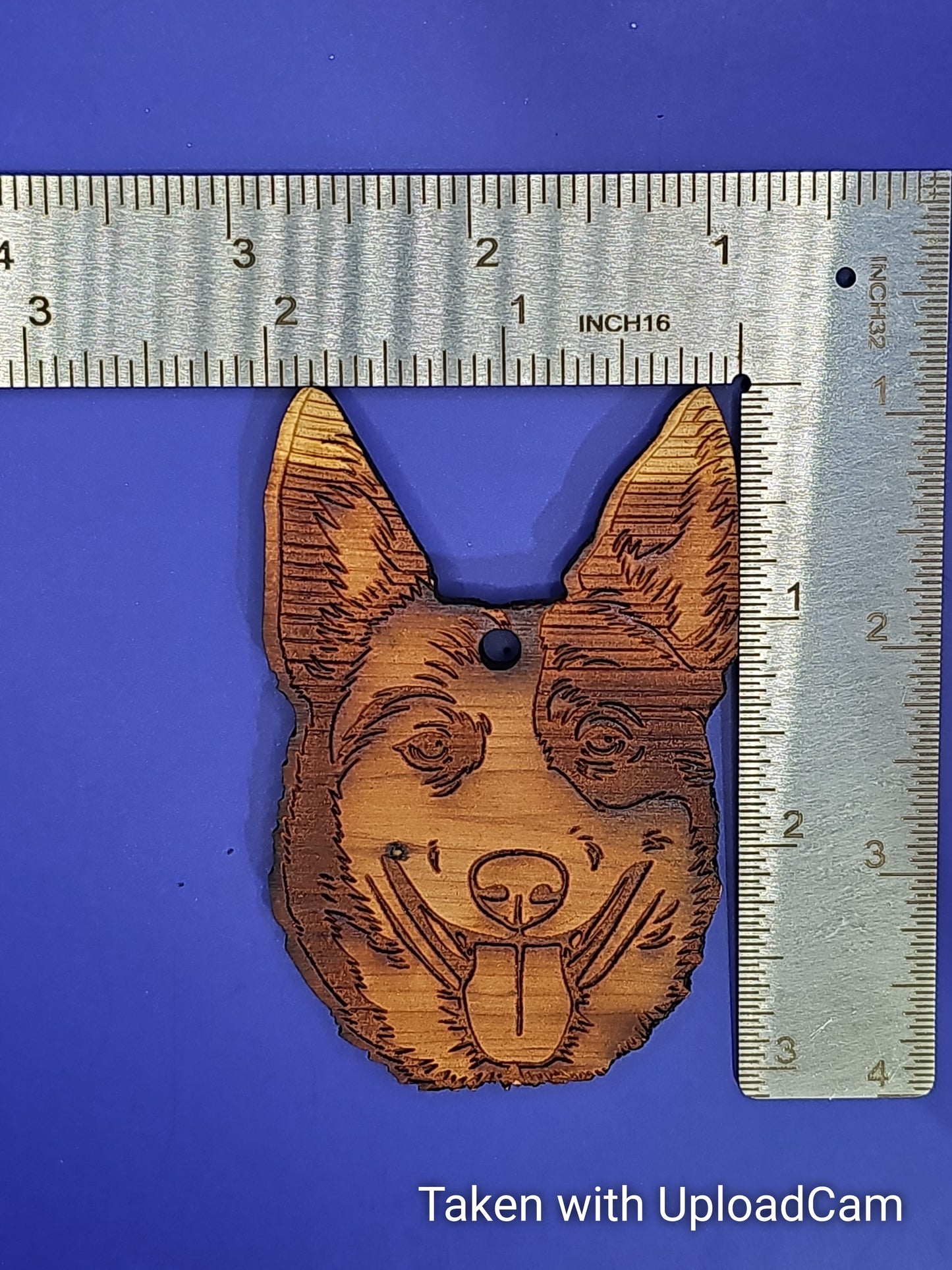 Australian Cattle Dog  Cedar Ornament