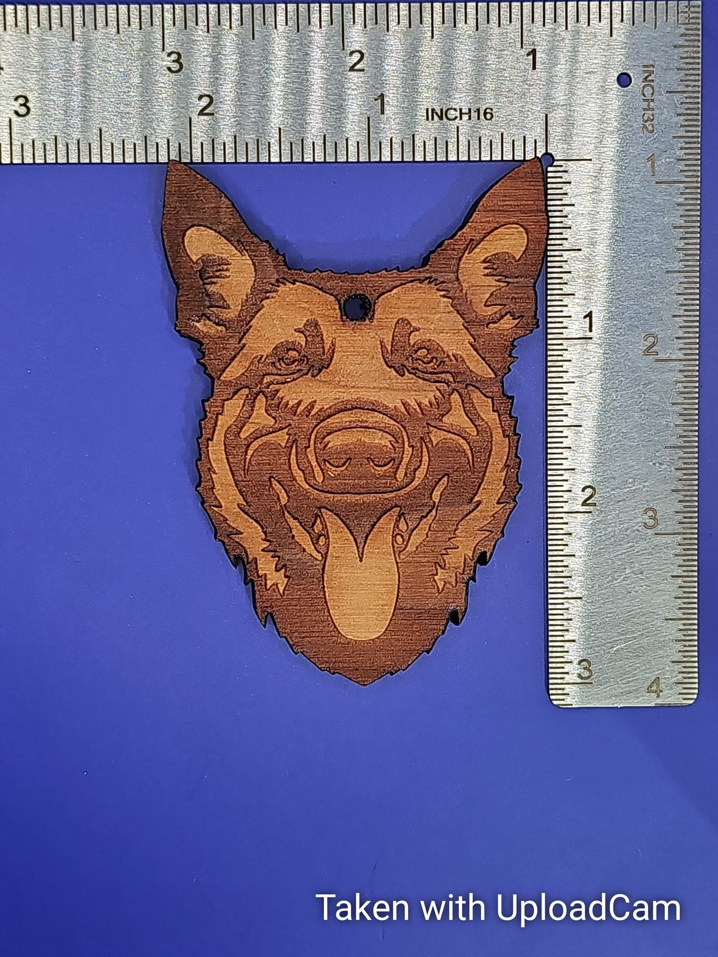 Belgian Malinois Cedar Ornament